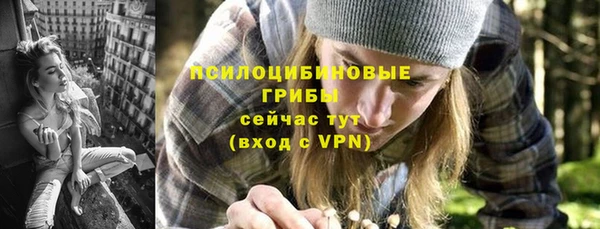 марки lsd Вяземский